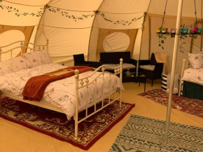 Tal-y-fan farm 6m stargazer tent